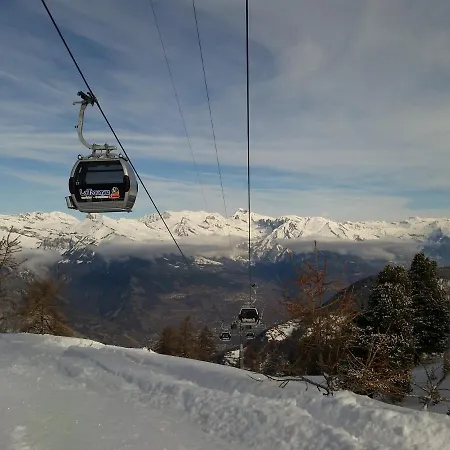 Mon Ours * La Tzoumaz