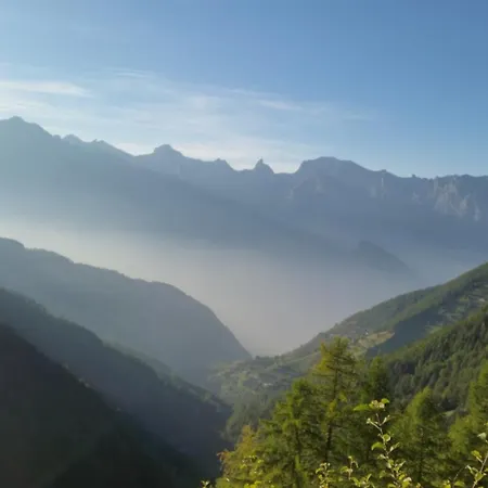 Mon Ours 拉茨欧马兹